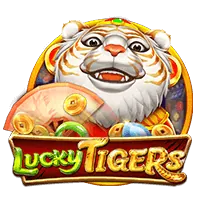 Sabong Game Provider